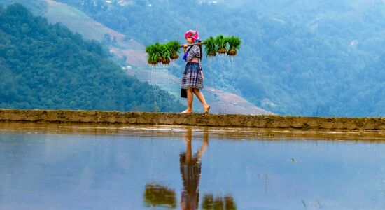 Northern Vietnam Odyssey: Hanoi, Sapa, Mai Chau, and Halong Bay 8-Day